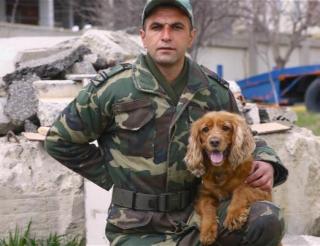 Juna, a Cocker spaniel from Azerbaijan, helped save three people